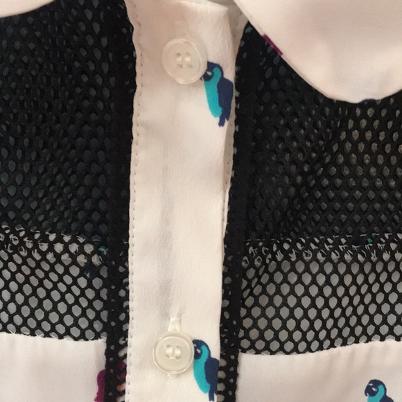 BCBG Summer Dress - Picture 8 of 17